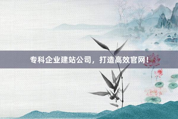 专科企业建站公司，打造高效官网！