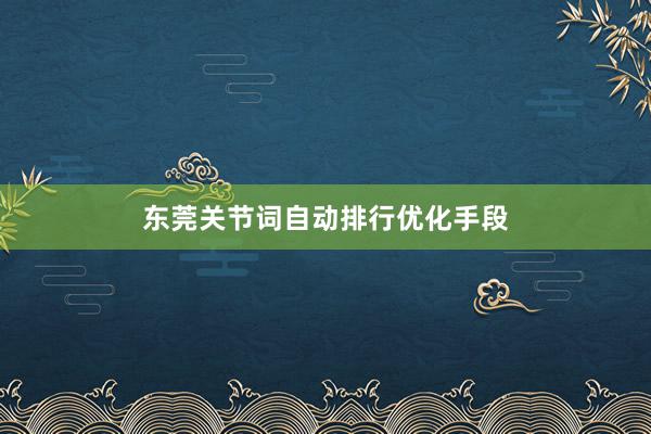 东莞关节词自动排行优化手段