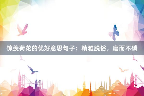 惊羡荷花的优好意思句子：精雅脱俗，磨而不磷
