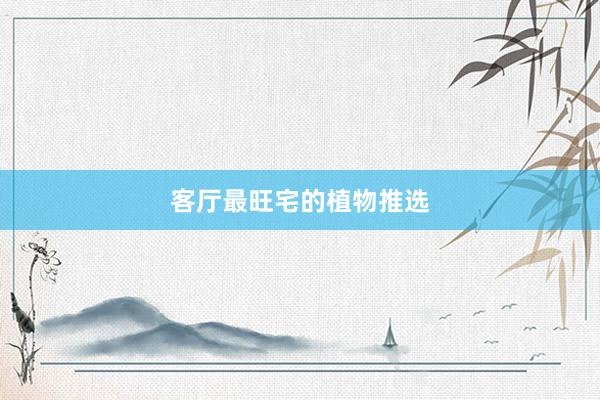 客厅最旺宅的植物推选