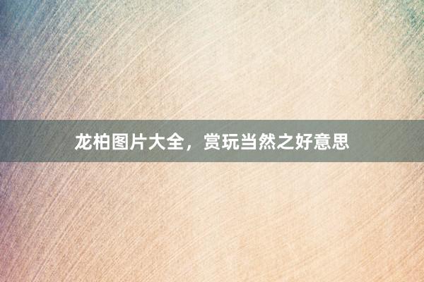 龙柏图片大全，赏玩当然之好意思