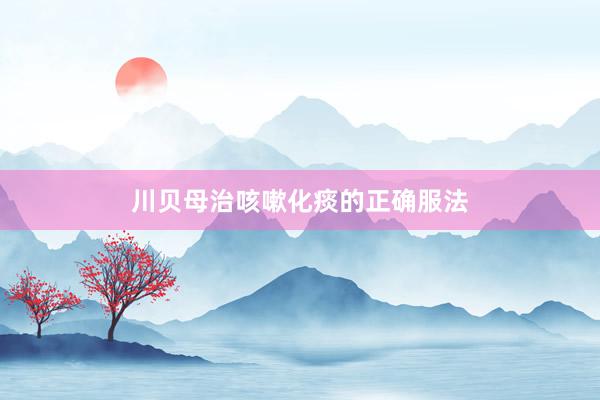 川贝母治咳嗽化痰的正确服法
